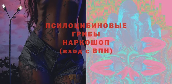 ГАЛЛЮЦИНОГЕННЫЕ ГРИБЫ Беломорск