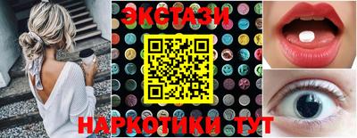 амф Гусев