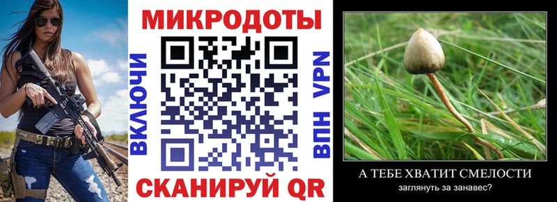где продают   Соль-Илецк  mega ТОР  Галлюциногенные грибы Magic Shrooms 